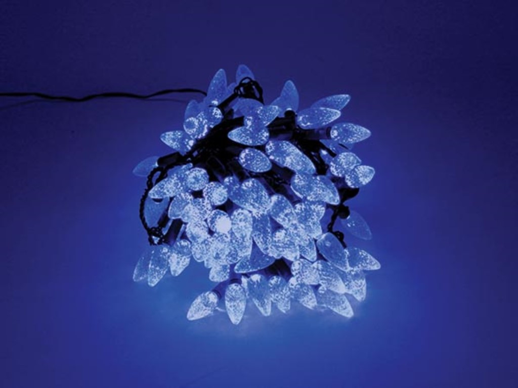 Strawberry Light LED - 12 m - 120 blue lamps - green wire - 24 V