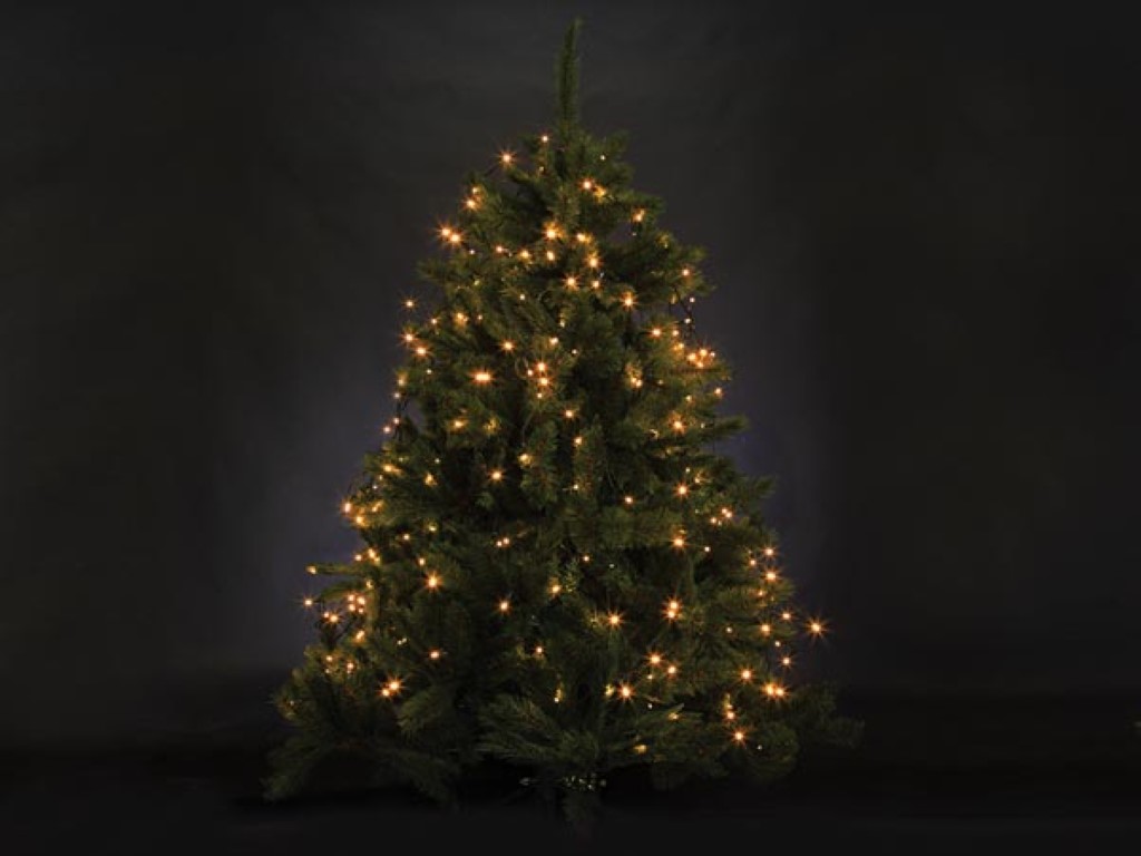 Jõulukaunistus - ATRIA LED - jõulupuule kõrgusega 2,4 m - 330 arizona valged pirnid - roheline juhe - 24 V